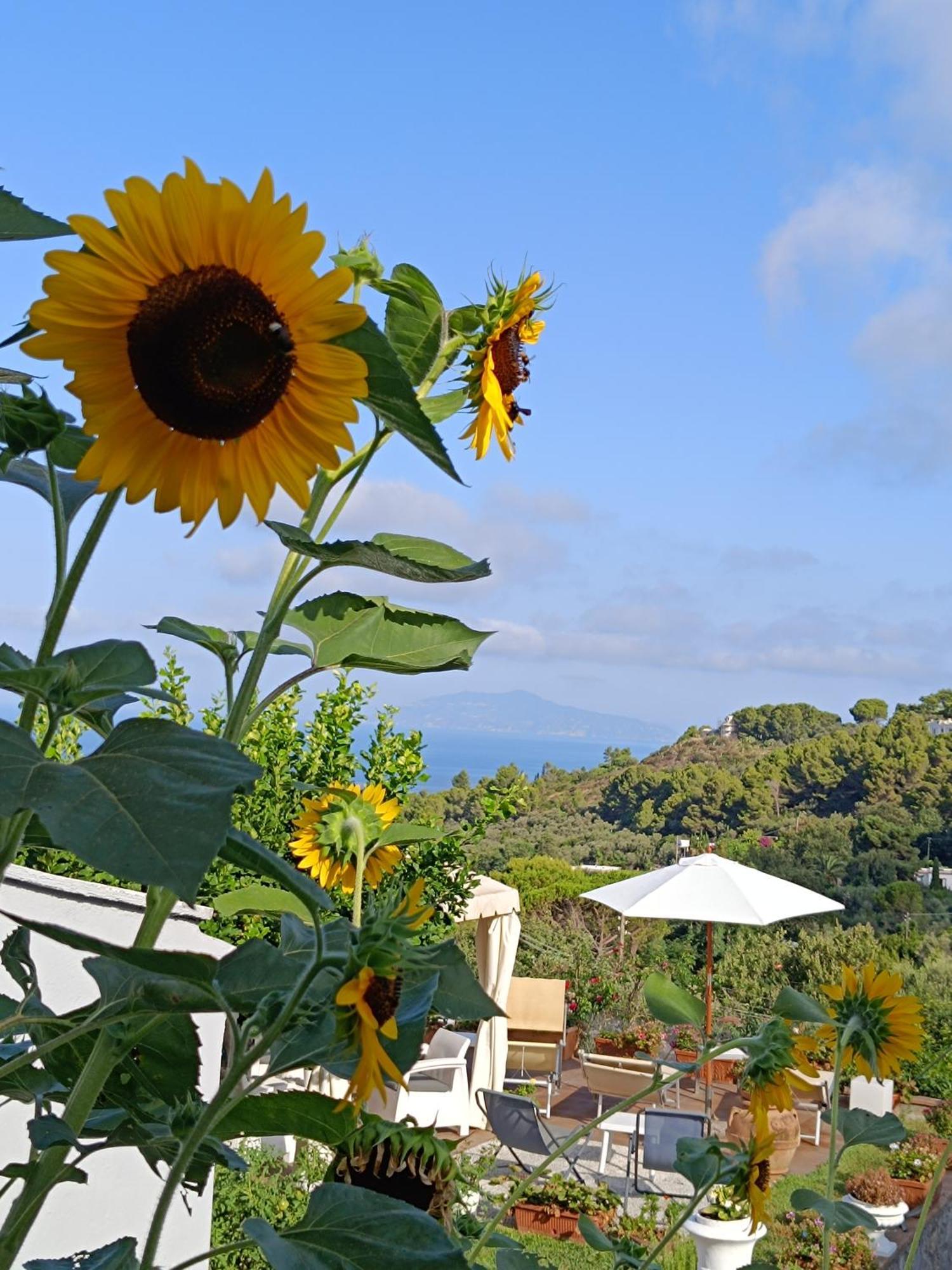 B&B Villa Cristina Anacapri  Buitenkant foto